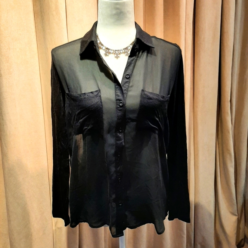 ISSI sheer blouse